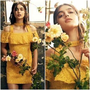 Beauty and the Beast Lace Dress